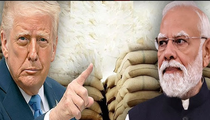 امریکی منڈی میں چاول ڈمپ کرنا بند کرو یا نئے ٹیکس بھگتو، ٹرمپ کی بھارت کو دھمکی