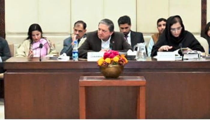 قائمہ کمیٹی، اسلام آباد کلب کو 70 لاکھ روپے کی یکمشت ادائیگی پر شدید تحفظات