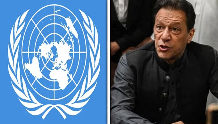 عمران خان سے ناروا سلوک کی خبریں درست ہیں تو حکومت اقدامات کرے، اقوام متحدہ