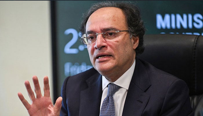 وزیر خزانہ نے منی بجٹ لانے کا امکان مسترد کر دیا