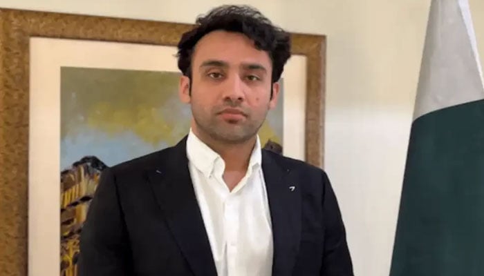 2 کرپٹو کرنسی ایکس چینجز کے لیے، این او سی کے اجراء کو حتمی منظوری کے مترادف نہ سمجھا جائے، بلال بن ثاقب