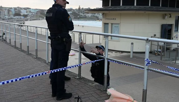 تصویر بشکریہ غیرملکی میڈیا