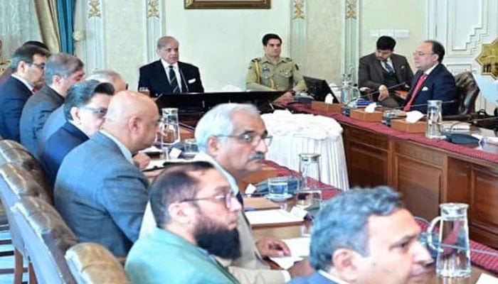 بجلی کی ترسیل کار اور پیداواری کمپنیوں کی نجکاری کا عمل تیز کیا جائے، شہباز شریف