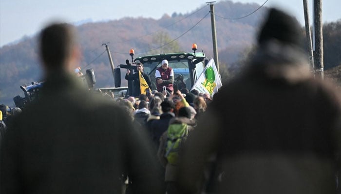 فرانس نے مویشیوں میں پھیلتی بیماری سے نمٹنے کے لئے فوج طلب کرلی