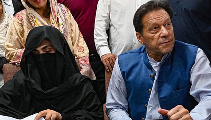 عمران، بشریٰ، 17، 17 سال قید، بانی PTI کو زائد عمر، بشریٰ بی بی کو خاتون ہونے کی وجہ سے کم سزا سنائی گئی، توشہ خانہ 2 کا تحریری فیصلہ