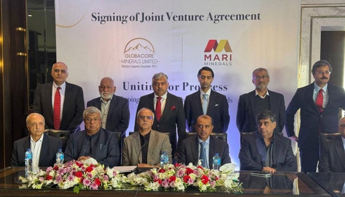 ملکی معیشت کیلئے اچھی خبر، پانچ بڑے بزنس گروپس کا معدنی وسائل میں اربوں ڈالر سرمایہ کاری کا فیصلہ