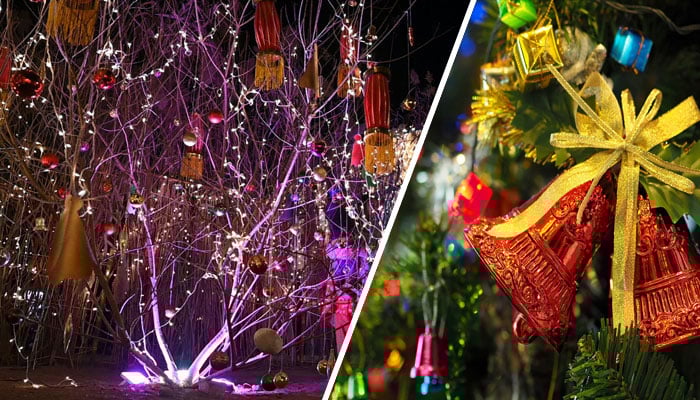 مسیحی برداری  نے مذہبی تہوار کرسمس جوش و خروش کیساتھ منایا