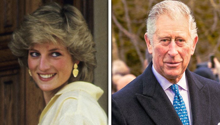 شہزادی ڈیانا نے میڈیا جنگ میں پرنس چارلس سے زیادہ مہارت دکھائی