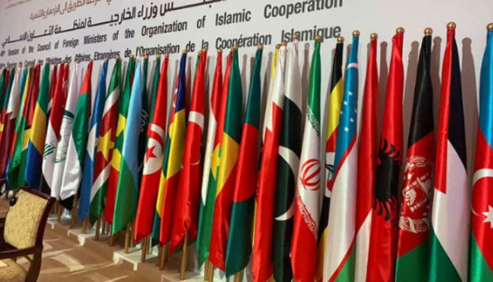 پاکستان، سعودیہ سمیت 21 ممالک کا صومالی لینڈ کو تسلیم کرنے کا اسرائیلی اقدام مسترد، سلامتی کونسل کا ہنگامی اجلاس طلب