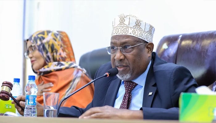 صومالی پارلیمنٹ میں اسرائیلی فیصلہ مسترد، صدر کی قومی وحدت کے دفاع کی اپیل