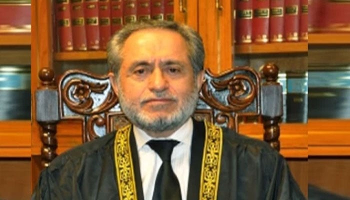 کسی کی عزتیں اچھالنے کی اجازت نہیں دی جا سکتی، جسٹس جمال مندوخیل