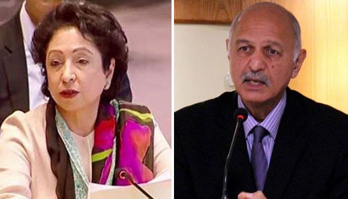 2025 میں خارجہ پالیسی کامیاب رہی، مشاہد حسین، ملیحہ لودھی