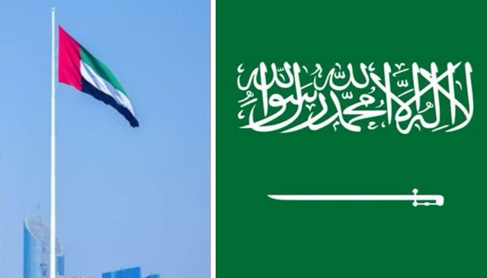 خلیج بحران، امارات کی یمن سے فوجی واپسی، سعودیہ کا خیرمقدم