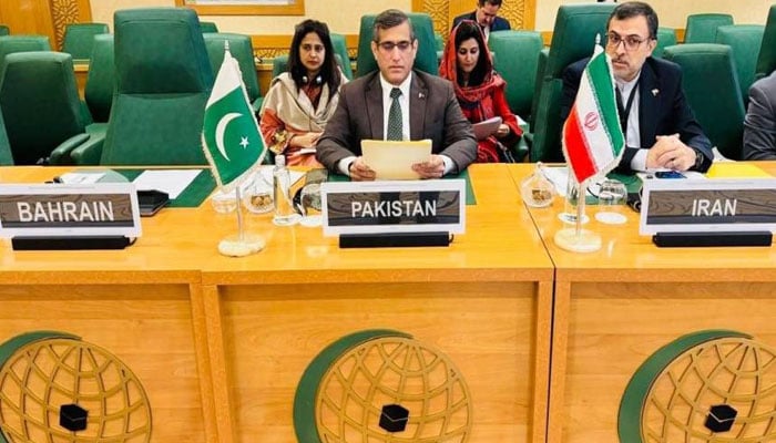 صومالیہ کے مسئلہ پر او آئی سی کی ایگزیکٹو کمیٹی کا غیر معمولی اجلاس