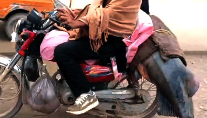 شکرگڑھ، مچھیرے نے دریائے راوی سے 102 کلو وزنی مچھلی پکڑ لی