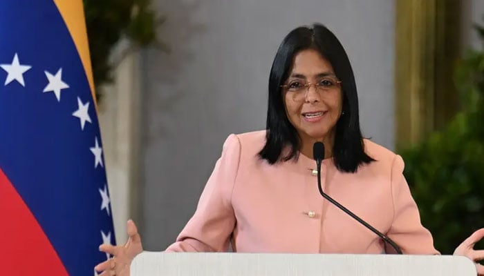 وینزویلا کی عبوری صدر روڈریگز، شاویز دور سے سیاست میں تجربہ