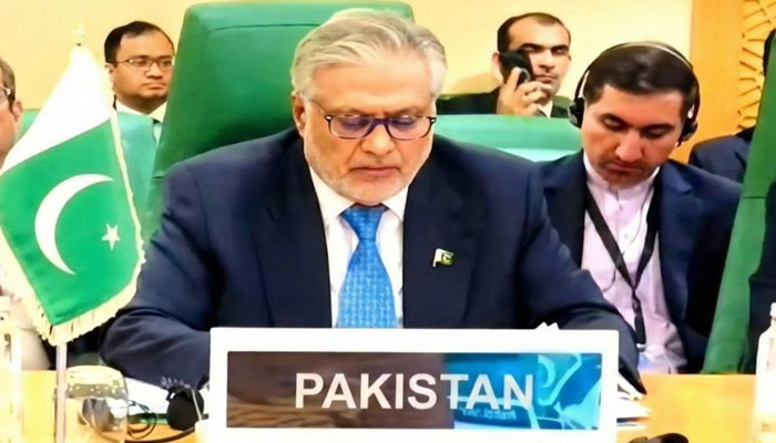 اسرائیل کا صومالی لینڈ کو تسلیم کرنا سفارتی عمل نہیں سیاسی جارحیت ہے، اسحاق ڈار، فلسطینی عوام کی جبری بیدخلی کی تجویز مسترد