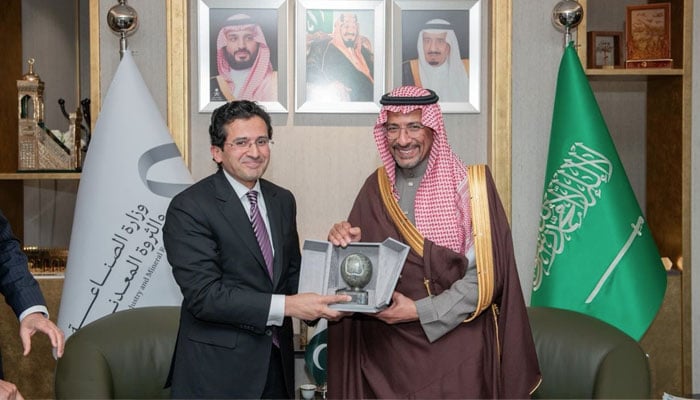 پاکستان اور سعودیہ کا معدنیات کے شعبے میں مشترکہ سرمایہ کاری پر غور