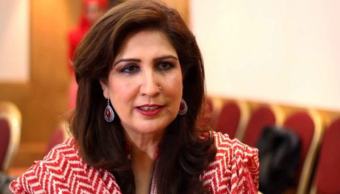 اسکروٹنی میں شکایات، پی ایچ ایف انتخابی عمل مسترد کرتے ہیں، شہلا رضا