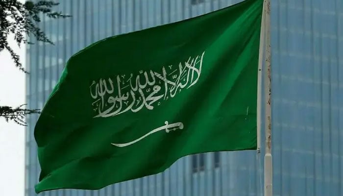 سعودی عرب کا جنوبی یمن میں 500 ملین ڈالر کے ترقیاتی منصوبوں کا اعلان