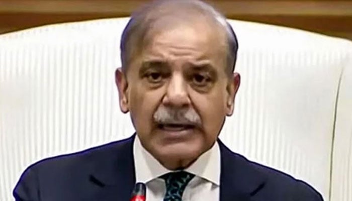 دہشت گردوں کو بحر ہند میں ڈبو دینگے، خوراج، TTP اور افغان طالبان کے گٹھ جوڑ کے ٹھوس ثبوت موجود ہیں، شہباز شریف