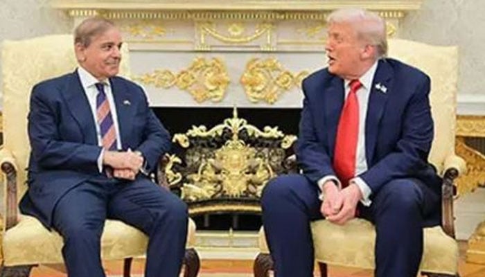 صدر ٹرمپ نے وزیر اعظم شہباز شریف کو غزہ بورڈ میں شمولیت کی دعوت دیدی، دفتر خارجہ