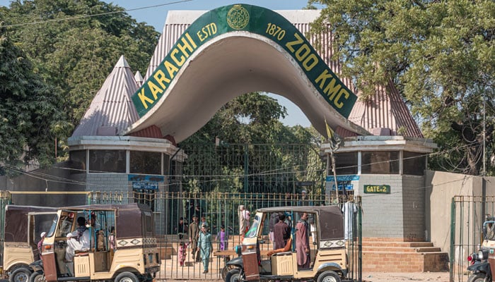 ہائیکورٹ، چڑیا گھر میں جانوروں کو قدرتی ماحول کی فراہمی کیلئے حکام کو نوٹس جاری