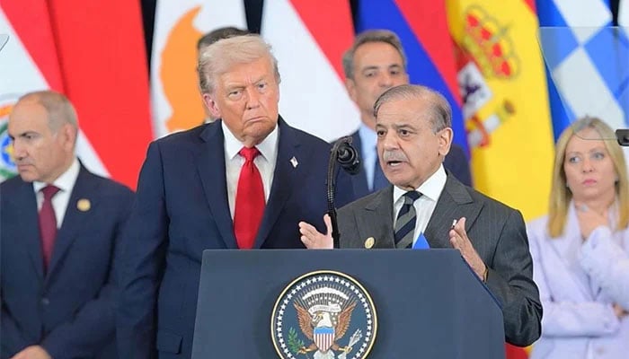 پاکستان غزہ امن بورڈ کا حصہ، ٹرمپ کی دعوت قبول، مستقل جنگ بندی، انسانی امداد میں اضافہ، تعمیر نو ہوسکے گی، دفتر خارجہ