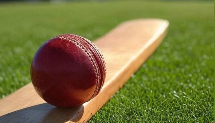 پریذیڈنٹ ٹرافی کرکٹ: سوئی ناردرن کے 452 رنز