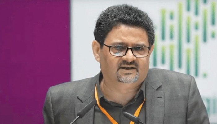 بار بار آئی ایم ایف کے پاس جانا معیشت کی کمزوریوں کا عکاس، مفتاح اسماعیل