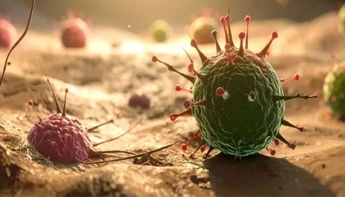 ٹی ٹوئنٹی ورلڈ کپ سے قبل بھارت میں’نیپاہ وائرس‘ بے قابو