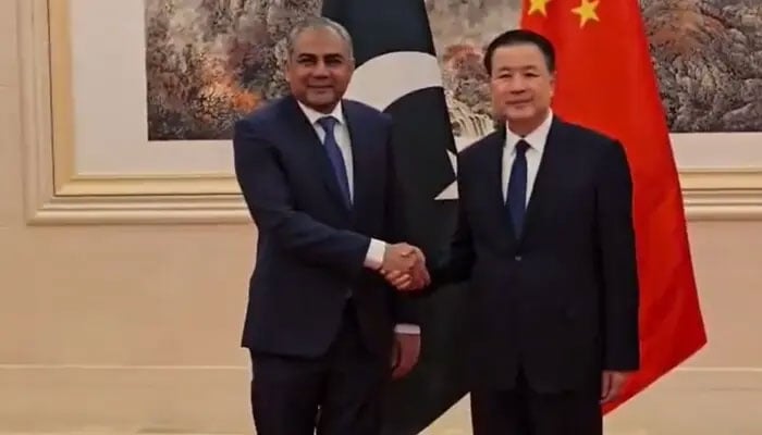 وزیر داخلہ کے دورہ چین کے تناظر میں اہم فیصلہ، 9 رکنی جوائنٹ ورکنگ گروپ تشکیل