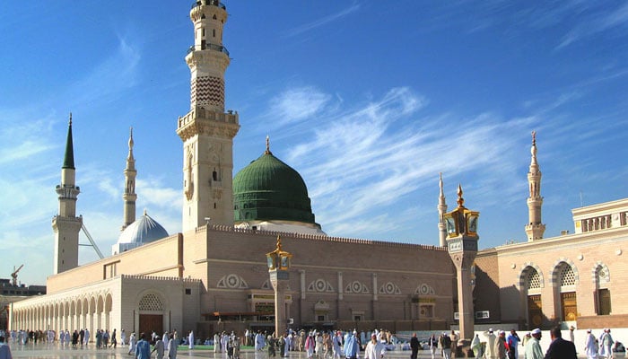 پارلیمانی وفد کے سرکاری خرچ سے روضہ رسول ﷺ پر حاضری معاملہ میں پیشرفت