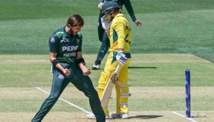 آج پہلا ٹی 20، پاکستان اور آسٹریلیا کیلئے ورلڈ کپ سے قبل دم خم جانچنے کا موقع