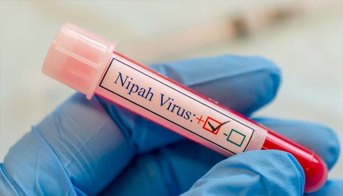 بھارت میں نپاہ وائرس کے پھیلاؤ نے عالمی سطح پر خطرے کی گھنٹیاں بجا دیں