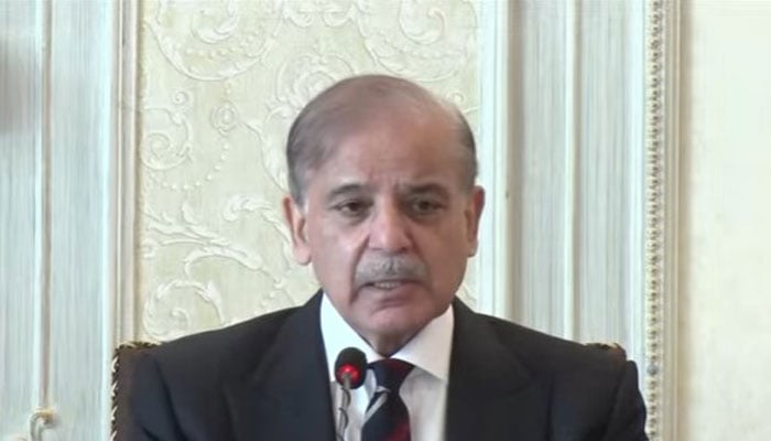 کلین سوئپ پر وزیراعظم، بورڈ چیف کی کرکٹ ٹیم کو مبارکباد
