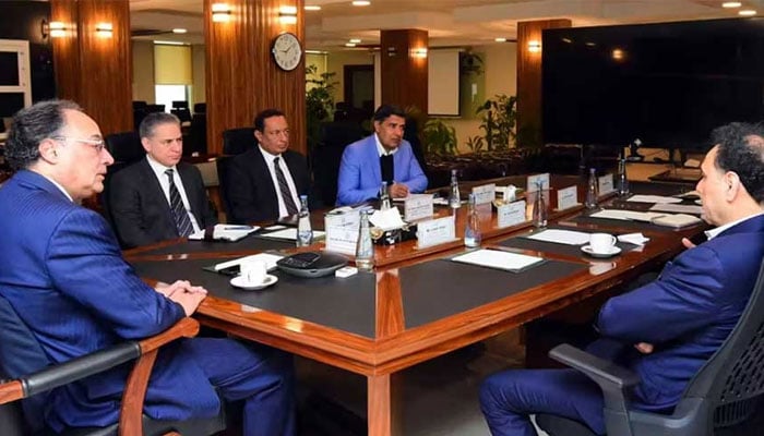 وافی انرجی پاکستان کا 100 ملین ڈالر تک سرمایہ کاری کا عندیہ