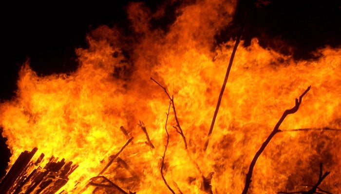 شہر کے مختلف مقامات پر آتشزدگی کے واقعات میں دو مویشی جھلس کر زخمی ہوگئے