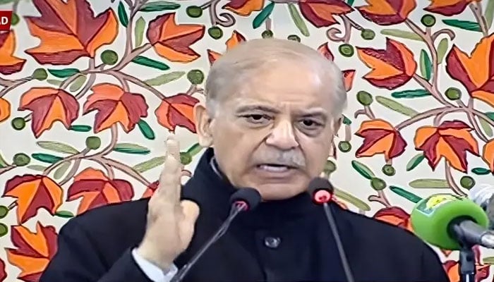 بھارت جس زبان میں بات کرے گا اسی میں جواب دینگے، وزیراعظم شہباز شریف