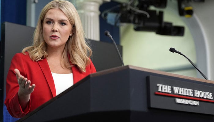 سیف امریکا ایکٹ کے تحت غیر امریکی شہریوں کو ووٹر لسٹ سے نکالا جائے گا، ترجمان وائٹ ہاؤس