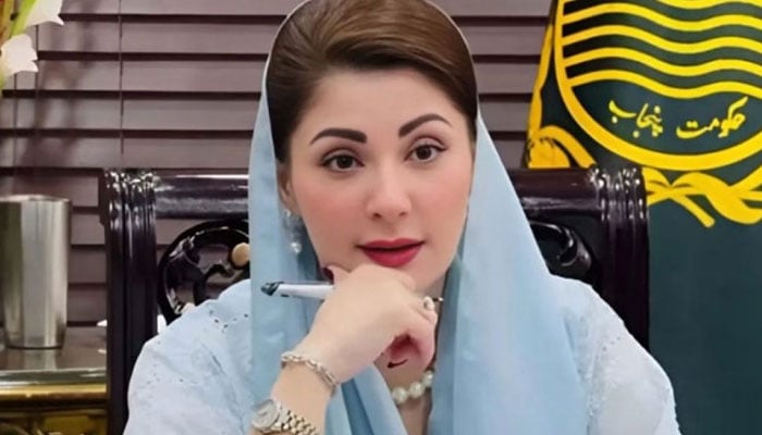 بلوچستان میں دہشت گردی کیخلاف آپریشن میں تعاون کریں گے، وزیراعلیٰ پنجاب، 10 ارب روپے کی معاونت کا اعلان