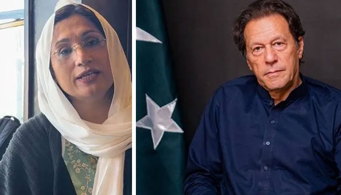 عمران خان کی آنکھ میں 10 فیصد بھی بہتری نہ آسکی، مریم ریاض وٹو کا دعویٰ