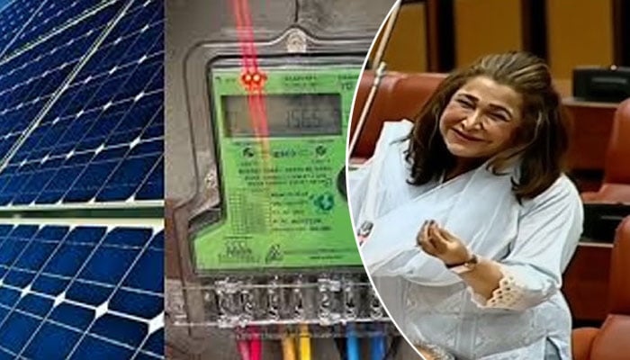 ایوان بالا میں سینیٹر ڈاکٹر زرقا سہروردی کی نیٹ میٹرنگ لائسنسنگ سے متعلق قرارداد مسترد