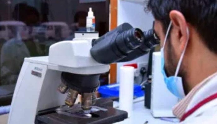 58 پاکستانی محققین عالمی ٹاپ 2 فیصد میں شامل