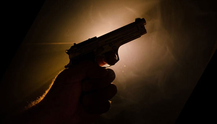 میرٹھ سوسائٹی میں فائرنگ سے لڑکا جاں بحق، دیگر واقعات میں 3 افراد زخمی