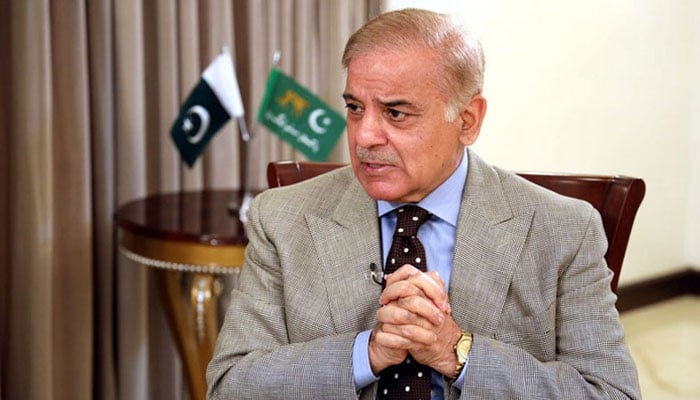 شہباز شریف کی قیادت