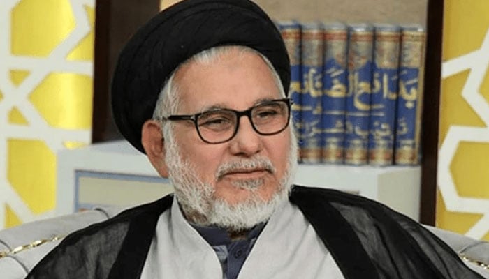 عوامی نمائندگی کا دعویٰ کرنیوالے چور دروازے سے آئے ہیں، علامہ حسن ظفر