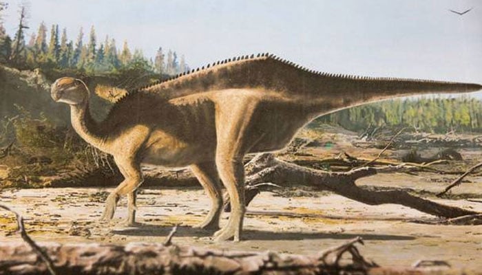 صحرائے اعظم میں ڈائنا سور کی ایک نئی اور حیرت انگیز حد تک دیو ہیکل قسم دریافت