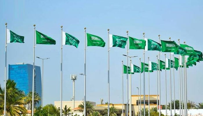 سعودی عرب کا 299 واں یومِ تاسیس، ریاض کو آرائشی روشنیوں سے سجا دیا گیا