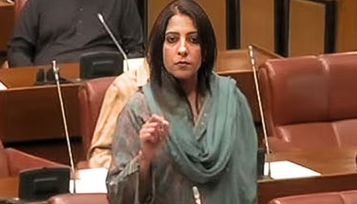 سینیٹ، اسرائیل انڈیا گٹھ جوڑ کیخلاف قرارداد، نیتن مودی علاقائی اتحاد بنانے کا بیان مسترد، غزہ جنگ بندی کی خلاف ورزی کی مذمت